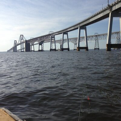 Profile Picture of Ralph Vitale (@VitaleRalph) on Twitter