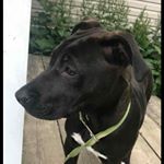 Profile Picture of robert trammell (@robert_trammell1) on Instagram