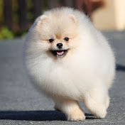 Profile Picture of John Harrell (@johnharrell3836) on Youtube