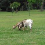 Profile Picture of bertbooth35@gmail.com (@bertbooth35) on Instagram