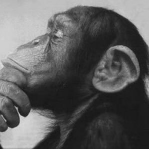 Profile Picture of Greg Dahl (@gregdahl99) on Twitter