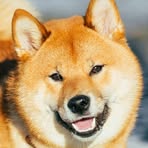 Profile Picture of Passalacqua Damien (@Passalacqua-Damien) on Facebook