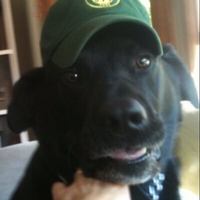Profile Picture of Eric Saunders (@ericsaunders70) on Twitter