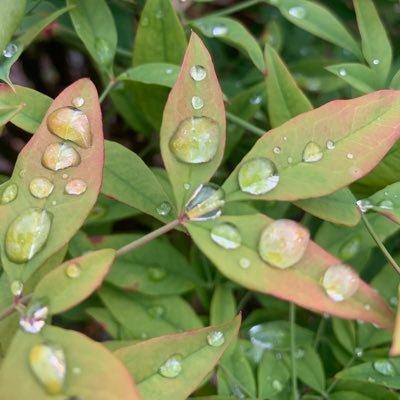 Profile Picture of Chase Childress (@ChaseChildres12) on Twitter