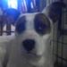 Profile Picture of CONNOR CLAY (@cclay1547) on Pinterest