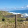 Profile Picture of Debra McCreath (@@debramccreath) on Tiktok