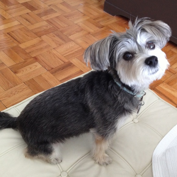 Profile Picture of Christine Hayashida (@bkhgal) on Poshmark