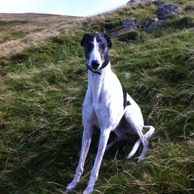 Profile Picture of Simon Archer (@simonarcher123) on Twitter