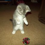 Profile Picture of Cindy Bartman (@cindymikeb) on Instagram