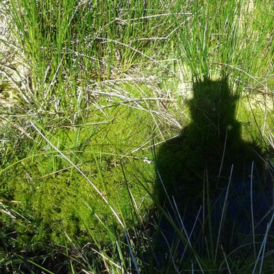 Profile Picture of Loudon Temple (@BobTheHepCat) on Twitter