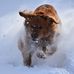 Profile Picture of Jim Burnside (@jim.burnside.5095) on Facebook
