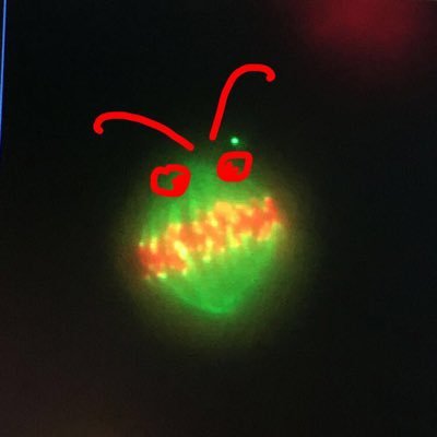 Profile Picture of Haein Kim (@haeinkim_phd) on Twitter