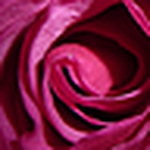 Profile Picture of Ginge369 (@ginge369) on Flickr