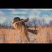 Profile Picture of Jacob Alexander Rutledge (@jacob.a.rutledge) on Facebook