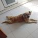 Profile Picture of Carlos Piñera (@carlos.pinera.522) on Facebook