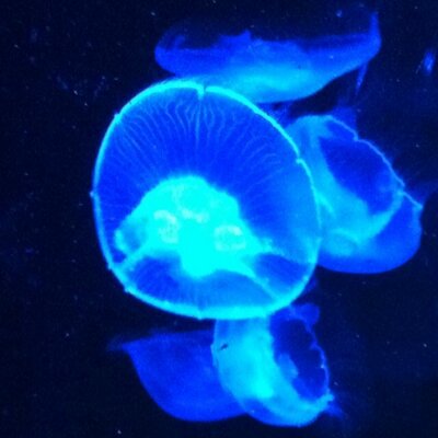 Profile Picture of John Heather (@jwheather) on Twitter