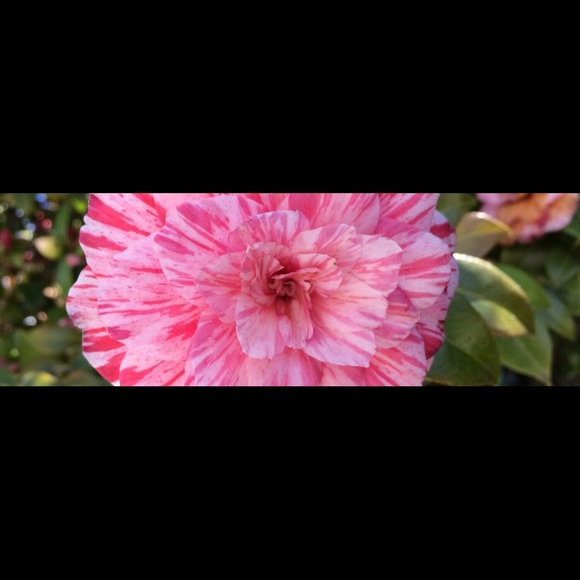 Profile Picture of Sara Skeeters (@sara_skeeters) on Poshmark