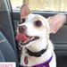 Profile Picture of Allison Claro (@aclaro0469) on Pinterest