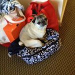 Profile Picture of Ladonna Robinson (@ladonnarobinson11) on Instagram