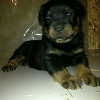 Profile Picture of Randy Hazlewood (@hazlewoodrandy) on Instagram