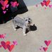 Profile Picture of Kathleen Gettle Cowgar (@kathleen.cowgar) on Facebook