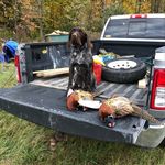 Profile Picture of Joe wichman (@joe.wichman) on Instagram