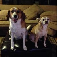 Profile Picture of Trisha Crain (@trisha-crain-1) on Quora