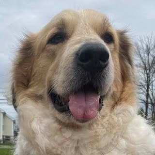 Profile Picture of Laurie Wy (@lauriewysong) on Instagram