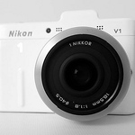 Profile Picture of Dani Metaz (black & White) (@black metaz v1) on Flickr