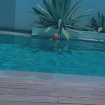 Profile Picture of Michael Lutz (@michiriedi) on Instagram