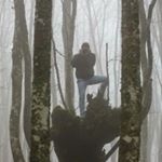 Profile Picture of Vito Summa (@vitosumma73) on Instagram