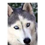 Profile Picture of Larry Peña (@larry.pena.7545) on Instagram