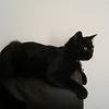 Profile Picture of Mona Mahmoud (@monatonga) on Flickr