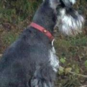 Profile Picture of Janice Bailey (@prewo1) on Pinterest