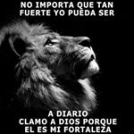 Profile Picture of humberto arredondo (@humbertoarredondo1117) on Instagram