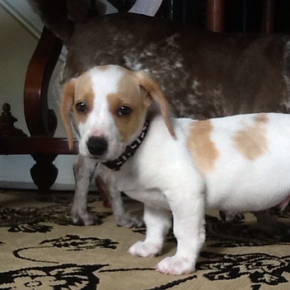 Profile Picture of Rosa Gray (@gray5134) on Poshmark