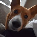 Profile Picture of James Nooyen (@jnooyen) on Instagram