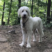 Profile Picture of Hope Simpson (@baconandpiearegood55) on Youtube