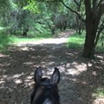 Profile Picture of Tori Blankenship (@foxtrotusa7783) on Instagram