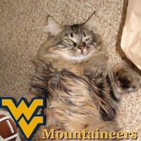 Profile Picture of Pam Burch (@pam-burch-6) on Quora