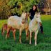 Profile Picture of Chasity Renee' Hooper (Chasity Renee' Hooper) (@chasity.r.hooper) on Facebook