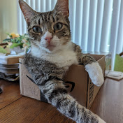 Profile Picture of Todd Westfall (@ToddWestfall1) on Youtube