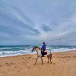 Profile Picture of marika kevicka (@marikevi) on Instagram