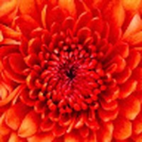 Profile Picture of Rachael Gates (@rachael-gates-16) on Quora