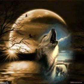 Profile Picture of Bobby Arsenault (@daboyzba) on Pinterest
