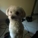 Profile Picture of Roberto Mazzuca (@roberto.mazzuca) on Instagram