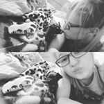 Profile Picture of Crystal Lovelace (@non_perfection_) on Instagram