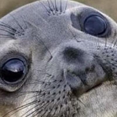 Profile Picture of Patrick Jacoby (@PD_Jam11) on Twitter