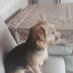 Profile Picture of Anthea Kilpatrick (@anthea.kilpatrick.3) on Facebook