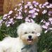 Profile Picture of Roger Mayers (@roger.mayers.12) on Facebook